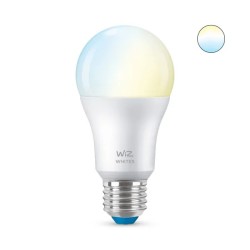 ნათურა WIFI მართვთ ფერადი CCT  60W E27